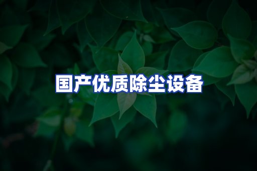 国产优质除尘设备